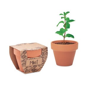 MINT POT Terrakotta-Topf Minze - GiftRetail MO2218