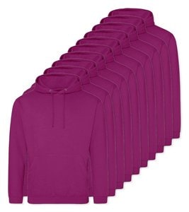 Festival Fuchsia