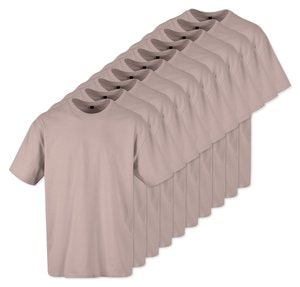 Dämmerungsrose